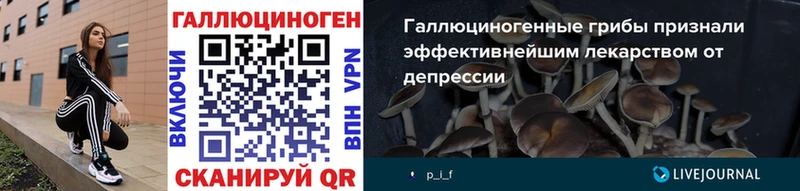 Купить  Южа  Псилоцибиновые грибы мицелий 